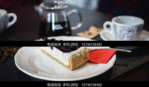 代妈陪护